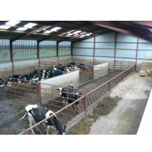 Q235 Q355 HRS hot rolled steel structure prefab farm chicken house poultry shed airport warehouse